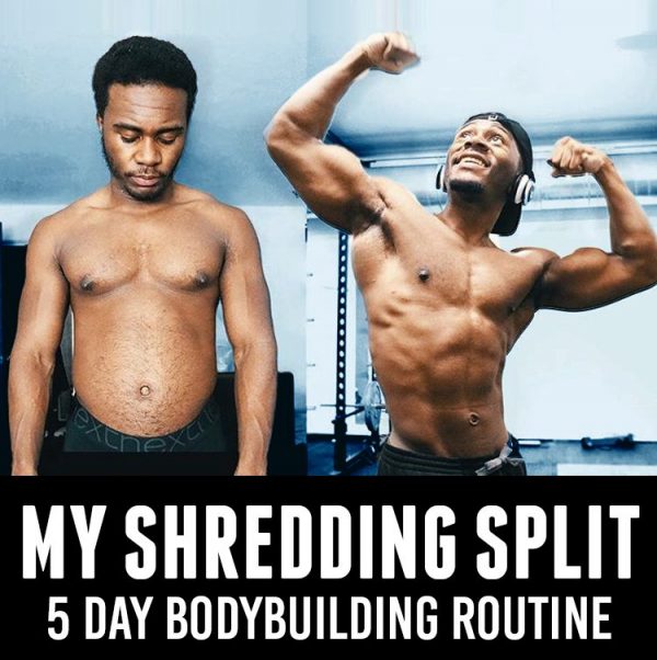 5 Day Bodybuilding Program To Shred Fat Gain Muscle Workout Plans